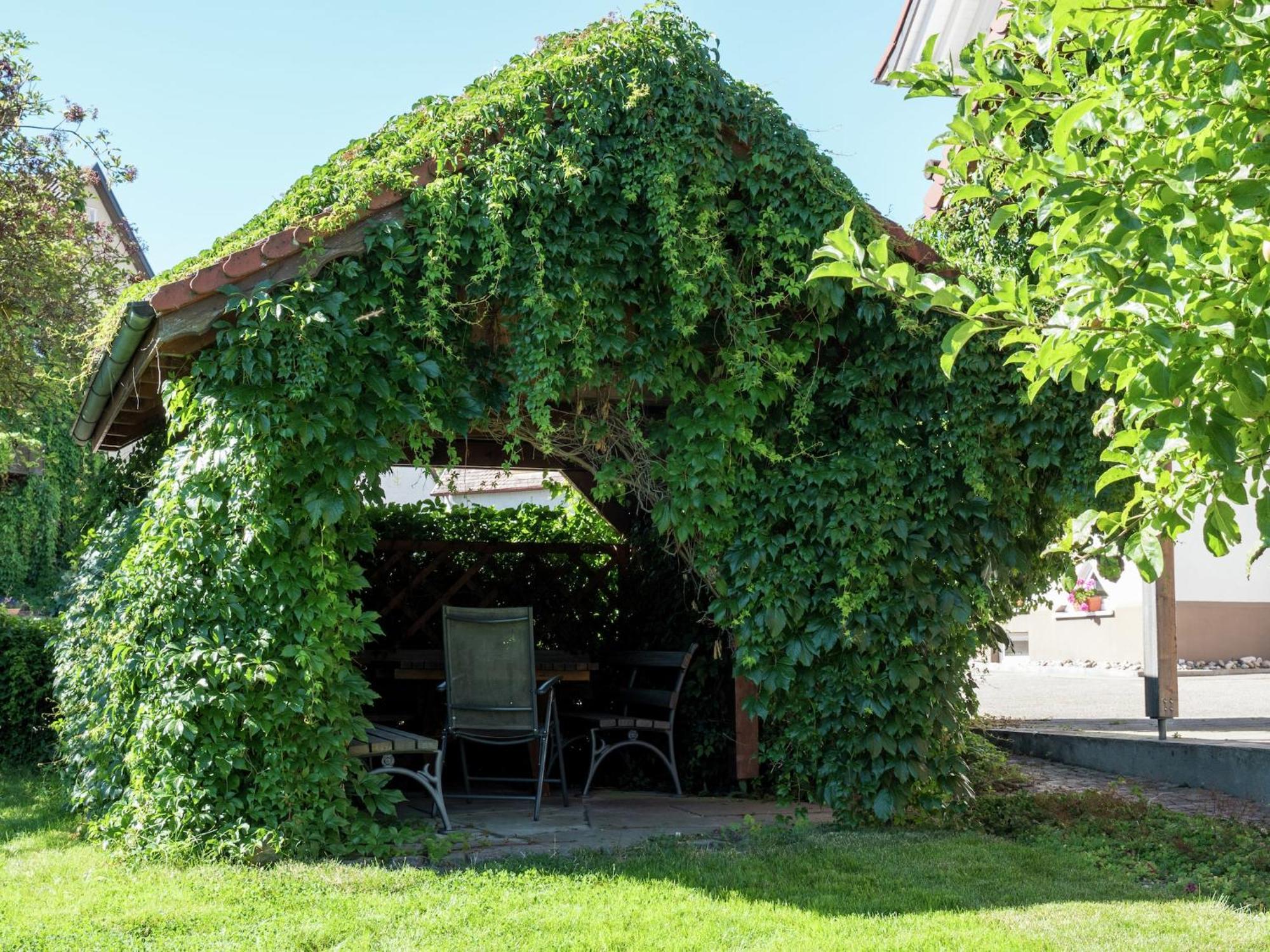 Cozy Apartment In Schwenningen With Garden Villingen-Schwenningen Extérieur photo